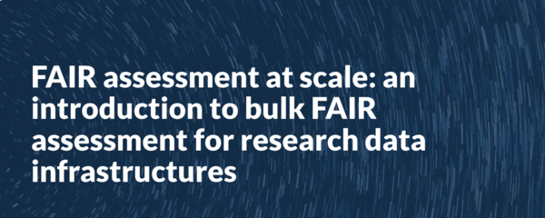  FAIR assessment at scale: an introduction to bulk FAIR assessment for research data infrastructures