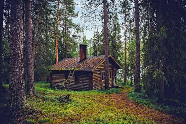 Celebrating Finland's Independence Day: FSD theme page "Life in the 100-year-old Finland"